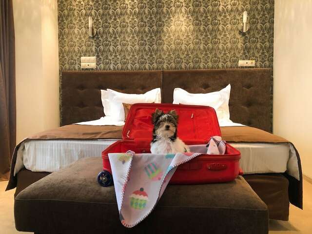 Гостиница Волна Нижний Новгород-111